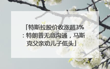 特斯拉股价收涨超3%：特朗普无意沟通，马斯克父亲劝儿子低头